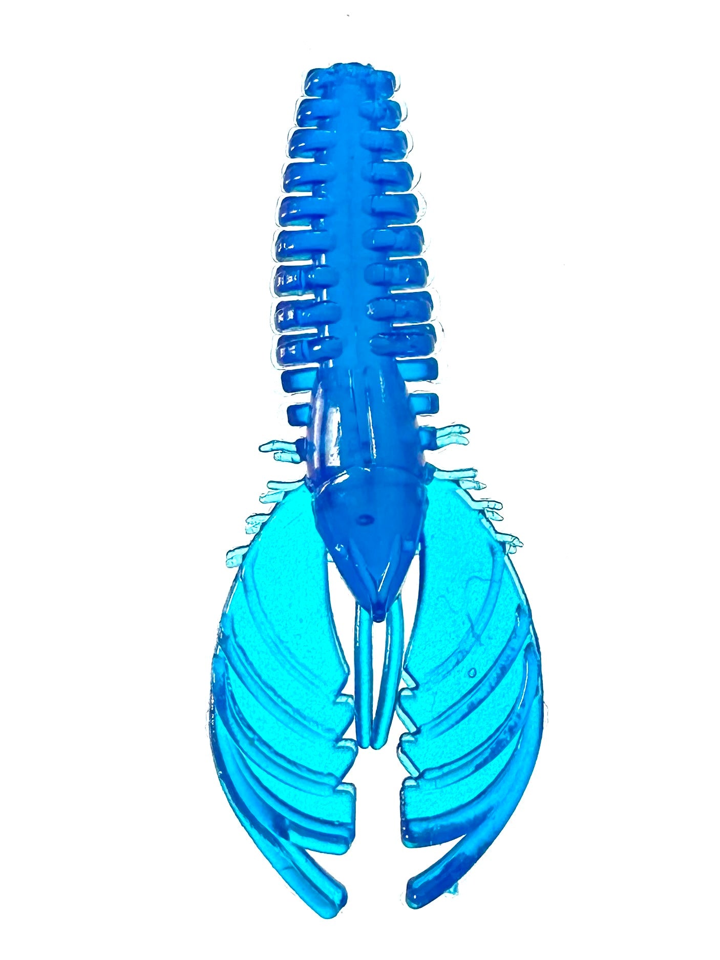 Carolina Craw