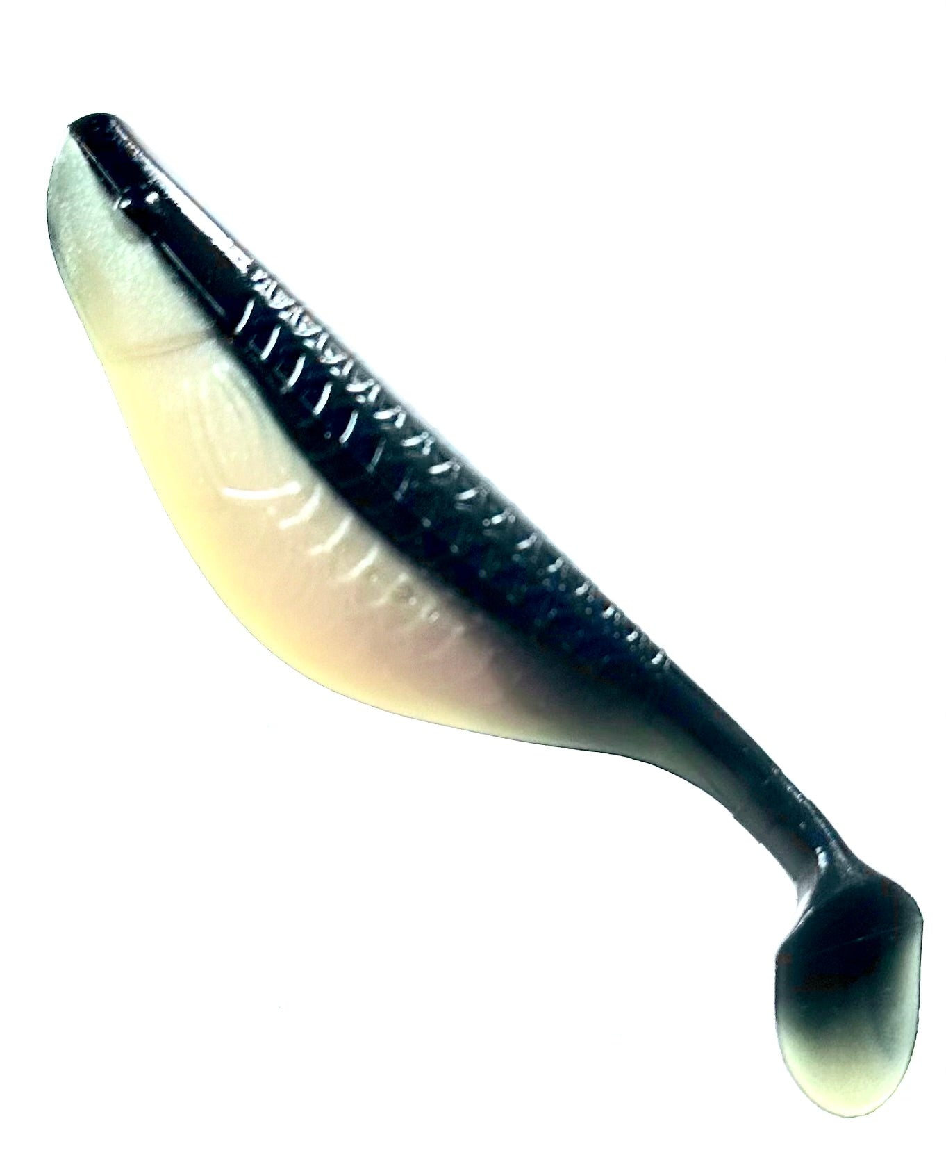 H31